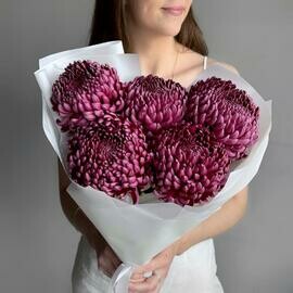 Стильный букет хризантема Бигуди 