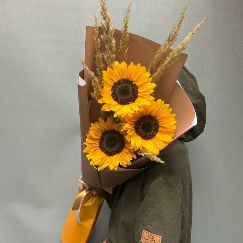 Подсолнухи , стандартный