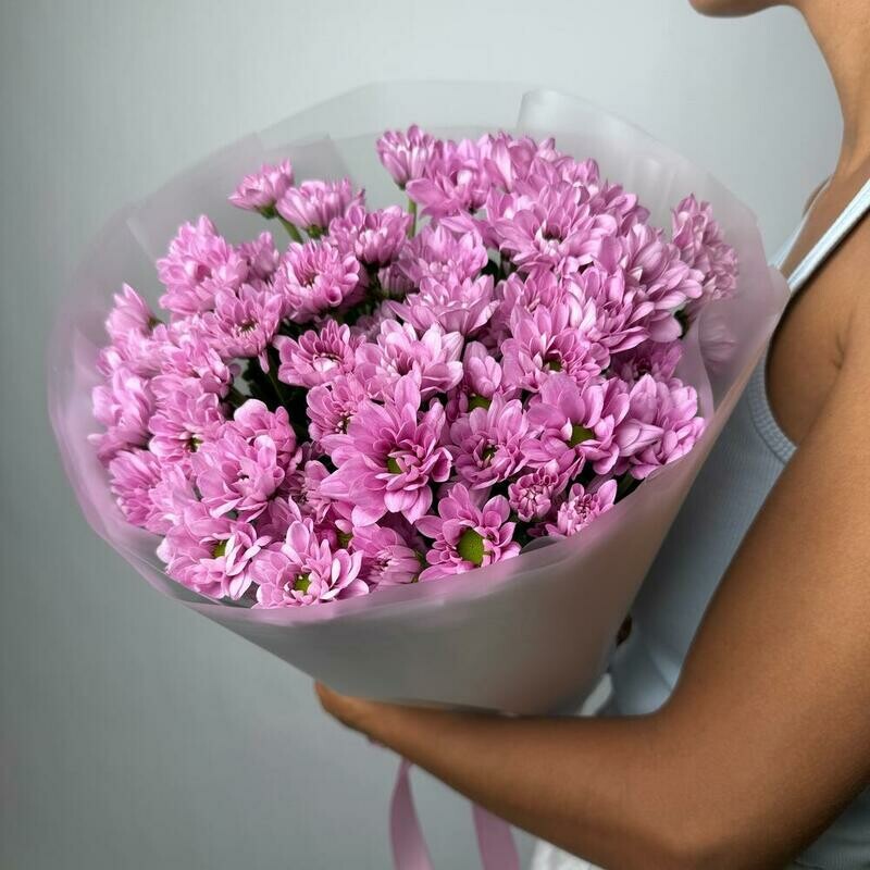 Rozovie romashki, standart