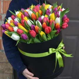 Цветы в коробке тюльпаны 101 шт. микс