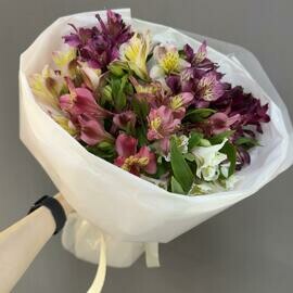 Monobuket iz 9 Al_stromerij