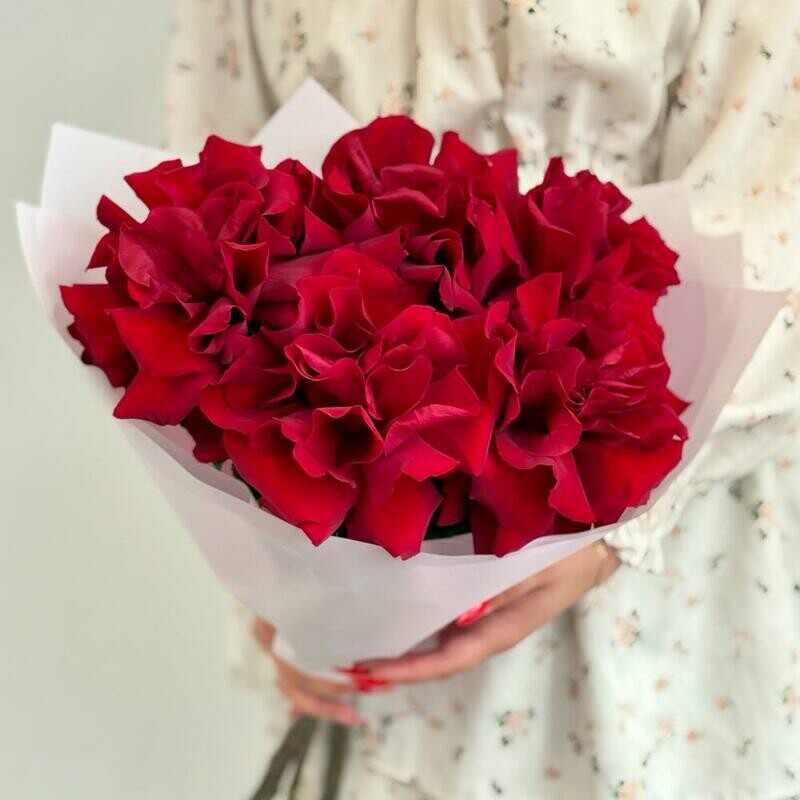 Buket iz 5 sht shikarnih krasnih frantcuzskih roz «Bordo XS», standart