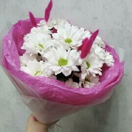 Buket iz kustovih hrizantem 3 sht. S lagurusom