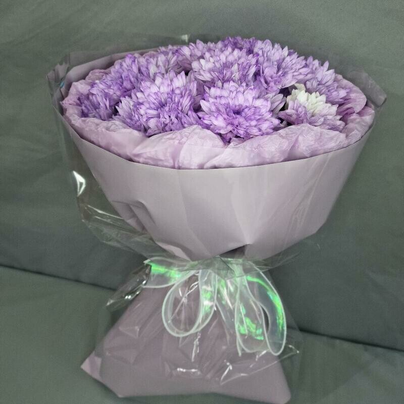 Izyuminka hrizantem, standart