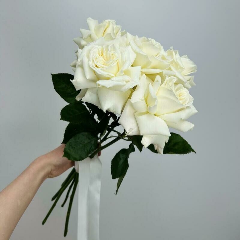 Монобукет Белые французские розы под ленту,5 штук , стандартный