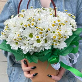 Sumochka romashek s hrizantemoj