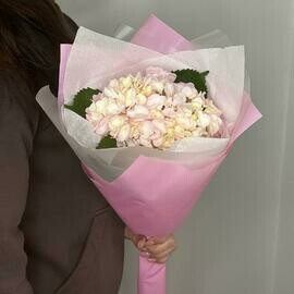 Гортензия розовая в оформлении 