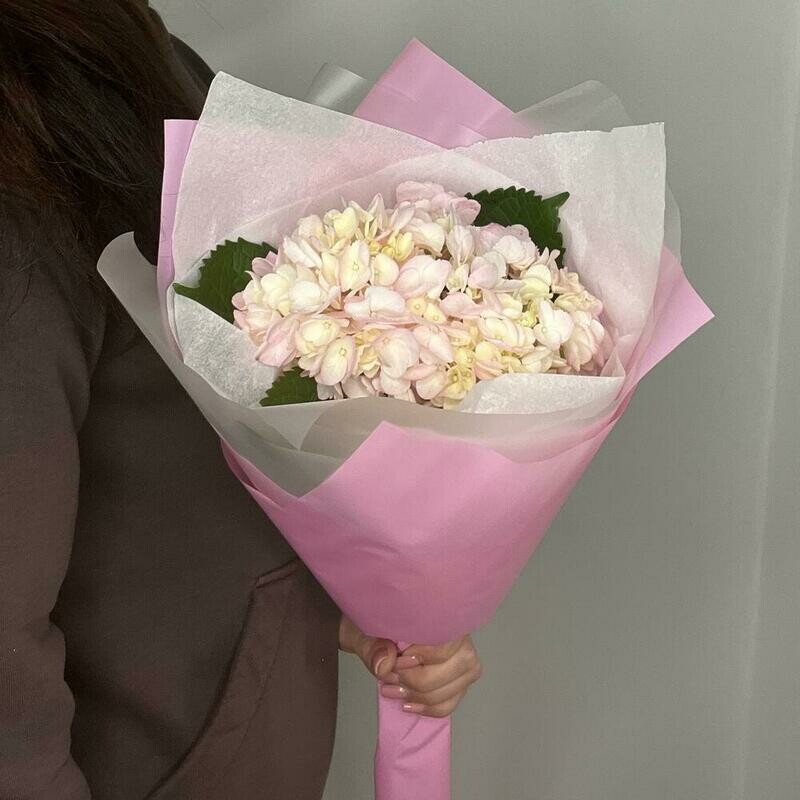 Гортензия розовая в оформлении , стандартный