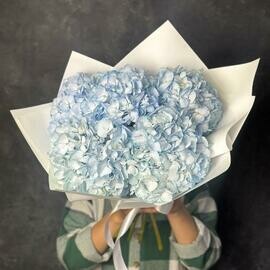 Buket iz 5 golubih (sinih) gortenzij