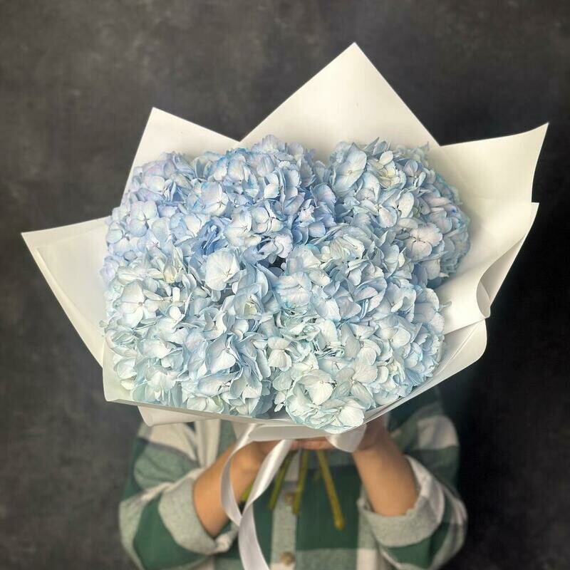 Buket iz 5 golubih (sinih) gortenzij, standart