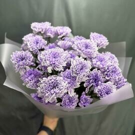 Букет хризантем  