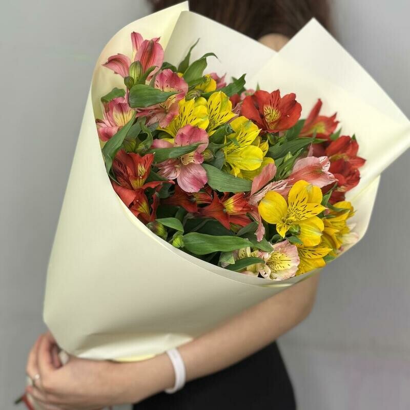 Сочная альстромерия в букете \ микс альстромерии , стандартный