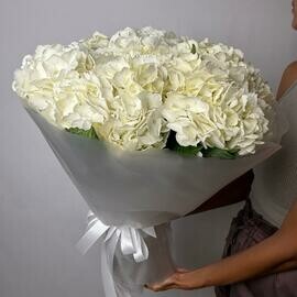 Облако гортензий размер М