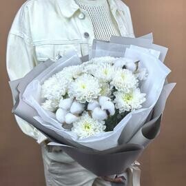 Belaya Hrizantema s Hlopkom, 3 sht