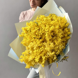 Букет из мимоза