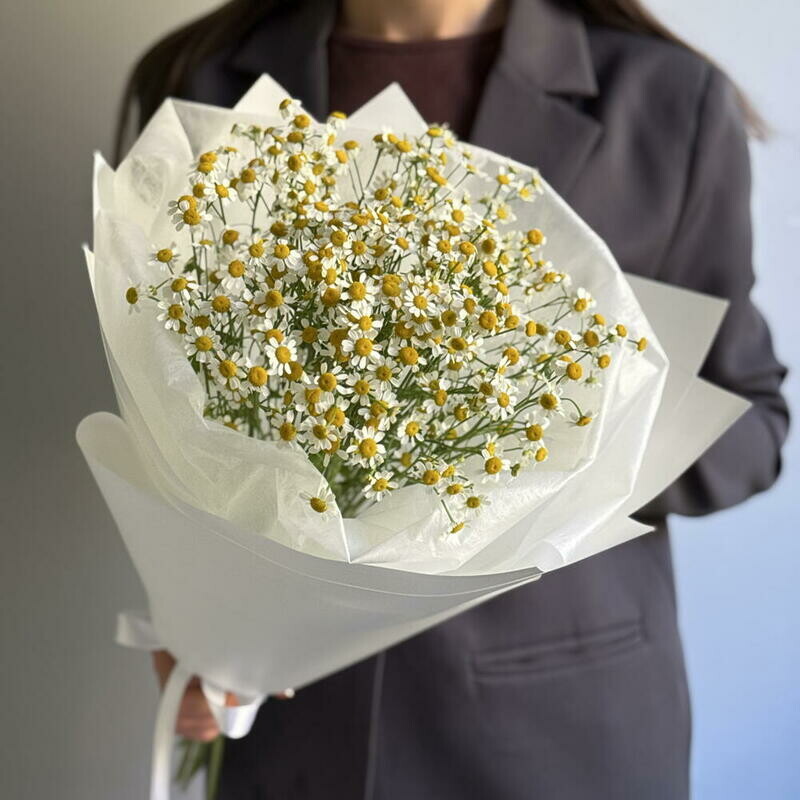 Букет полевых ромашек S , стандартный