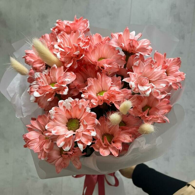 Buket iz kustovih hrizantem romashek s lagurusom, standart