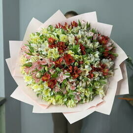 Buket 51 al_stromeriya