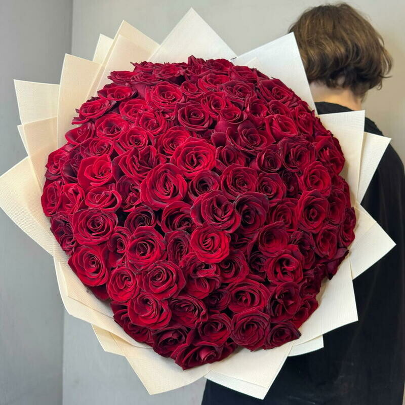 Buket iz 101 rozi 101 krasnaya Roza, standart