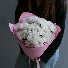 Monobuket iz 5 hrizantemi Altaj