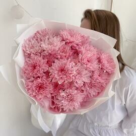 Buket rozovih hrizantem v dizajnerskoj upakovke