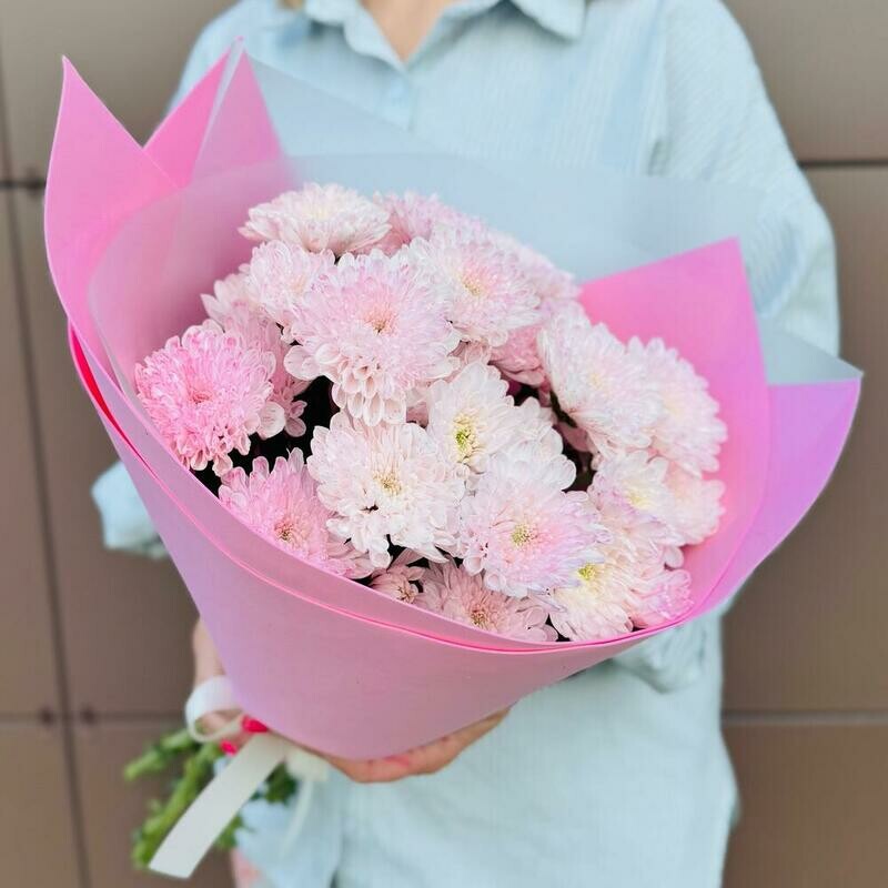 Buket iz 5 kustovih hrizantem «Rozovij zefir», standart