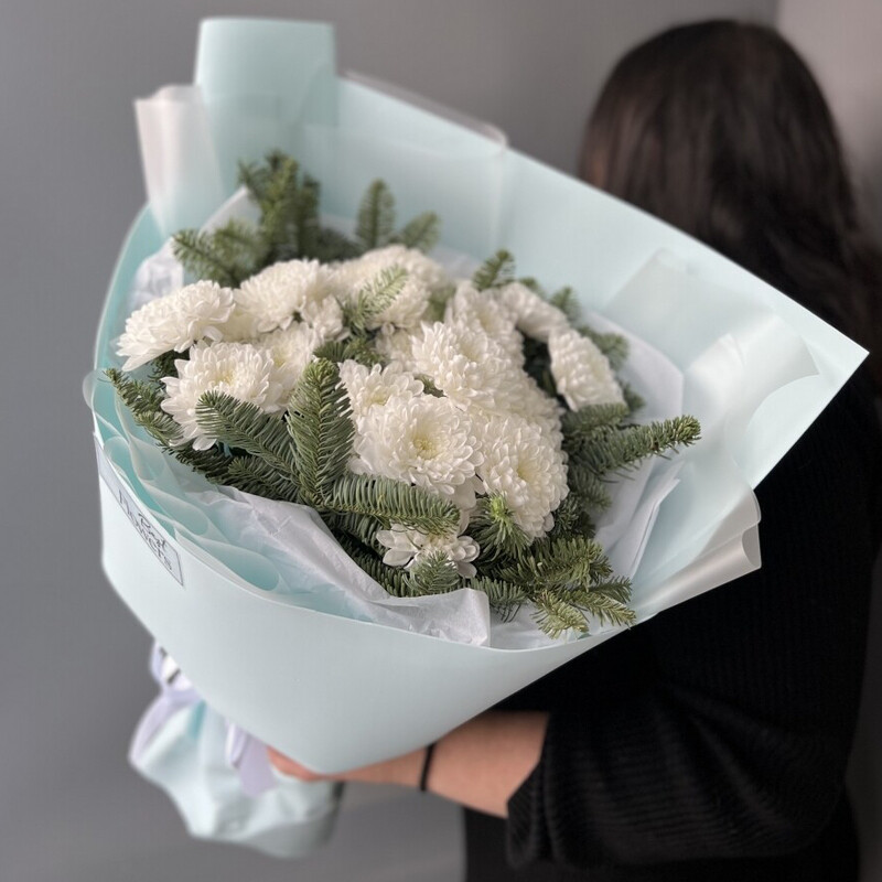 Snezhnij, belosnezhnie hrizantemi