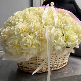 Premium korzina iz 51 beloj rozi