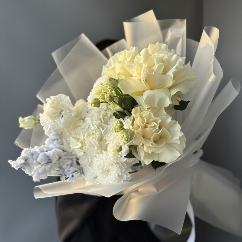 Белоснежный, стандартный