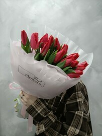 Красные тюльпаны