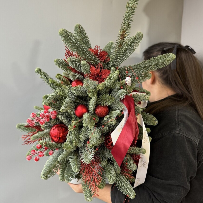 Ёлочка из нобилиса , ёлочка из нобилиса