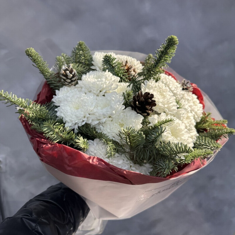 Зимний комплимент, стандартный