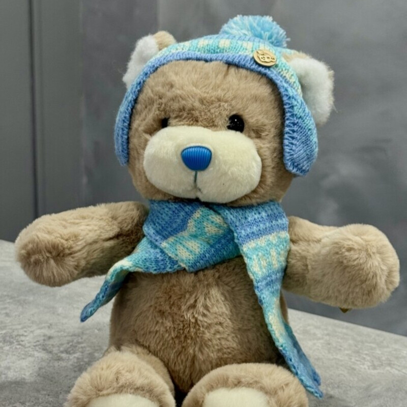 Igrushka Mishka, igrushka mishka v shapke