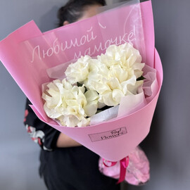 Нежность для Мамы