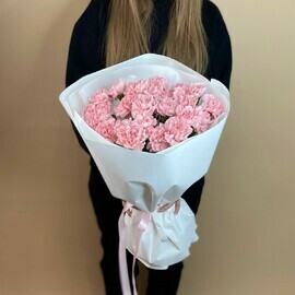 Букет из 25 розовых диантусов