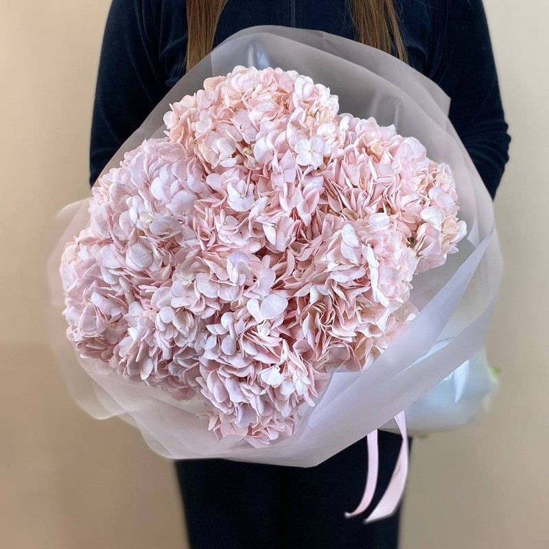 Buket iz 9 rozovih gortenzii, 9 rozovih gortenzii