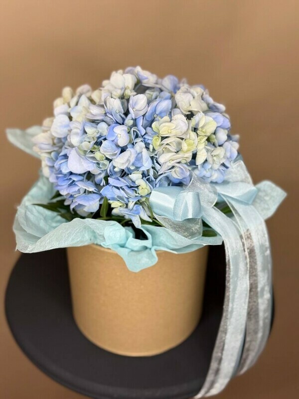 Голубая гортензия в коробочке, стандартный