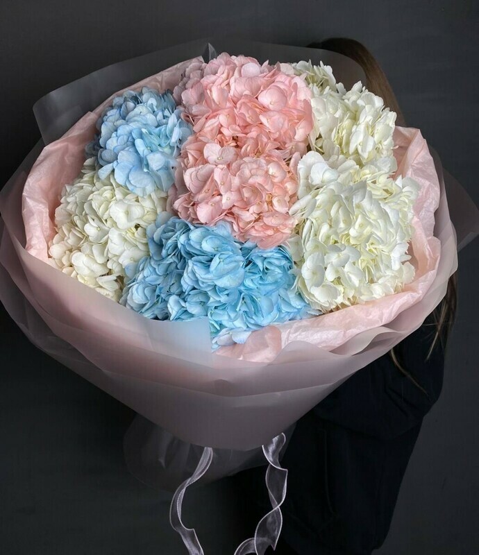 Букет из 9 разноцветных гортензий, 9 гортензий