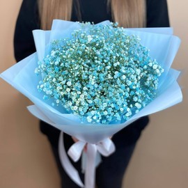 Букет из гипсофилы мини