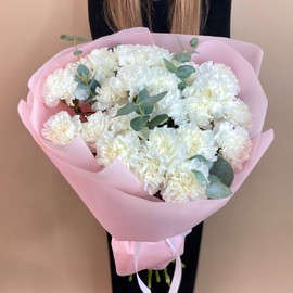 Букет из 25 диантусов