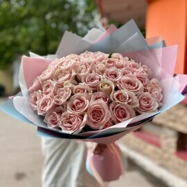 51 нежно розовая роза