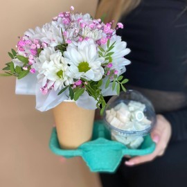 Hrizantema v stakanchike s marshmellou