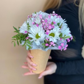 Hrizantema v stakanchike