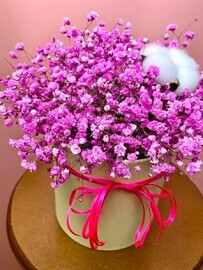 Розовая гипсофила в коробочке