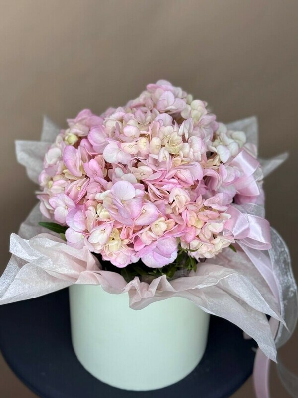 Розовая гортензия в шляпной коробочке, стандартный