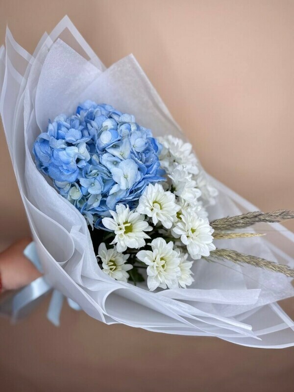 Голубая гортензия и хризантема, стандартный