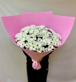 Охапка ромашек