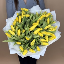 51 желтый весенний тюльпан 