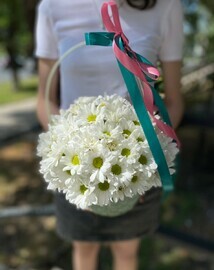 Хризантема ромашка в корзине 