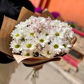 Хризантема с гипсофилой